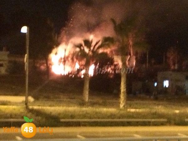 fire 3arisha3 (2).JPG